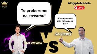 Opravdový bull run začíná?