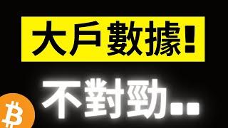 比特幣急跌回踩3000美金! 大戶數據出現異常..注意了! DOGE 0.16也到了，接著呢..?