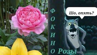 #розы Фокинобыстрая распаковка