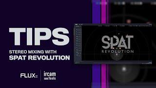 TIPS : Stereo Mixing with SPAT Revolution