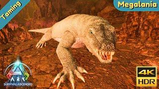 ARK Survival Ascended : Tame a Megalania