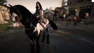 Black Desert Breeding Horses System Explained