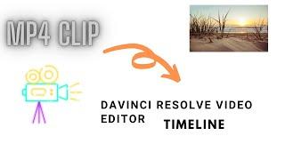 Import mp4 to davinci and insert clip to timeline