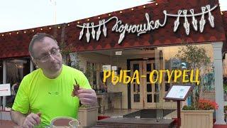 Панорамный Ресторан "Корюшка" | Санкт-Петербург | Набережная Петропавловской крепости