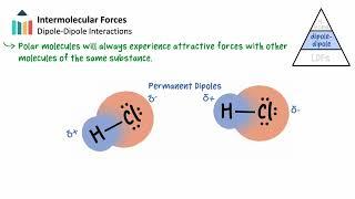 Intermolecular Forces [IB Chemistry SL/HL]