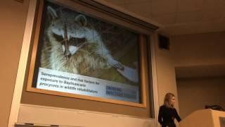 Raccoon Roundworm (Baylisascaris procyonis): Berry College One Health Seminar