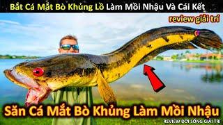 Săn Tìm Cá Lóc Mắt Bò Khổng Lồ Về Làm Mồi Nhậu Và Cái Kết Khó Tin || Review Giải Trí Đời Sống