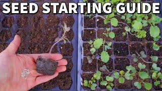 The Ultimate Beginner's Guide To STARTING SEEDS Indoors