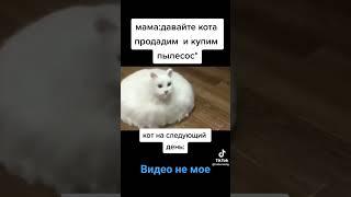 если ты сейчас это смотришь значит я у тебя в реках