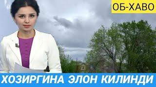 ШОШИЛИНЧ! УЗБЕКИСТОНДА ОБ ХАВО КЕСКИН  ЎЗГАРАДИ  ОГОХ БУЛИНГ