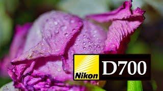 Nikon D700 | Camera $204 Full Frame Powerhouse for Stunning Photography Class 452