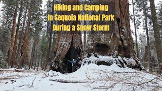 Sequoia National Park Winter Snow Camping and Hiking