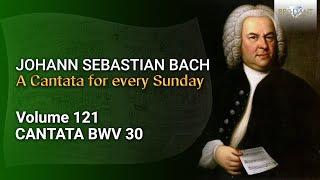 J.S. Bach: Freue dich, erlöste Schar, BWV 30 - The Church Cantatas, Vol. 121