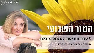 הטור השבועי: 5 עקרונות יסוד למיגנוט מוצלח | הנחיות מעשיות שיעזרו לך | קרן כהן