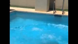 Auryn - momento en la piscina de Carlos marco y Blas !