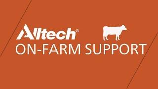 Alltech's Dairy On-Farm Support Program