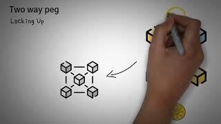 Что такое Sidechain в крипте?  Сайдчейны Rootstock и Polygon. Обзор с анимацией