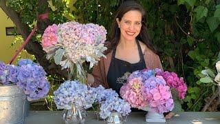 En Vivo con Ana Galena: Hortensias y todo lo que quieres saber para usarlas en arreglos florales