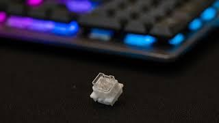 Cherry goes downmarket with its new Viola mechanical keyboard switches