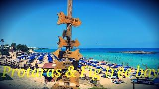  Protaras Cyprus Fig Tree Bay 4k walking tour 