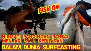 TARIKAN PADU IKAN IDAMAN DIPANTAI KUALA PENYU //GIANT TRIVALY (GT) //IKAN JERUNG(SHARK) #surfcasting