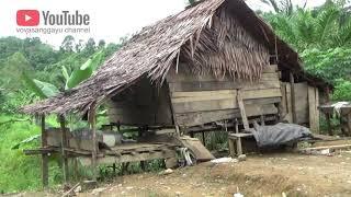 Menengok perkampungan suku terasing di pedalaman batas provinsi Sul-bar dengan Sul-Teng.