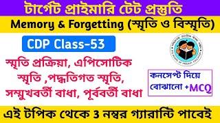 Memory and Forgetting for Primary Tet Exam || CDP in Bengali || Proactive & Retroactive inhibition