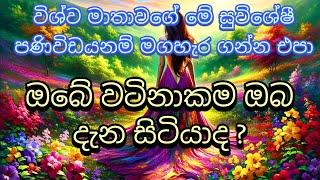 Divine Message  From The Universe | විශ්වයෙන් ඔබට දිව්‍යමය  පණිවිඩයක් #tarot #sinhala #astrology