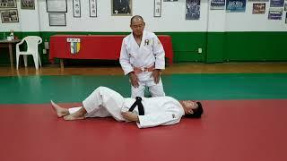 Kuzure Kesa Gatame