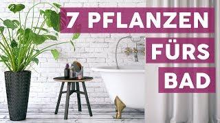 Diese 7 Pflanzen sind perfekt fürs Bad! | DEKO