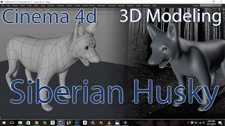 CINEMA 4D | TUTORIAL | HUSKY | 3D MODELING ( DOG / WOLF )