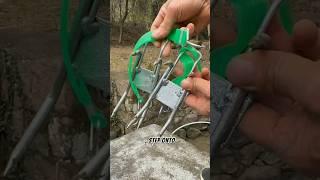 Modern Tree Climbing Tool! Advanced Metal Gear #funny #shorts #shortviral #climbinggear #trending