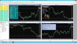 Best EA Forex - MQL5 Top EAs Unlocked R Factor EA Night Hunter Pro  North East Way EA The Reaper EA