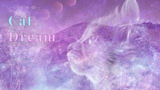 Dream Of CATS?   YOUR SECRET Spiritual Message  |COLLAB WITH @Auntyflo  