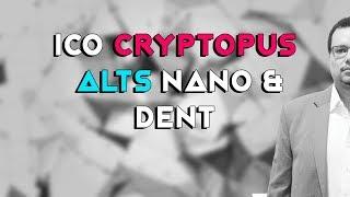 CRYPTOPUS NANO DENT