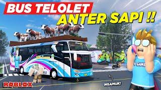 MUDIK NAIK BUS TELOLET BASURI ANGKUT SAPI NGAMUK KE DESA !! ROLEPLAY BUS INDONESIA - Roblox