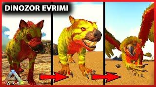 Griffin Evrim Hikayesi | PLAY AS DINO | ARK Survival Evolved Türkçe