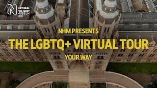 The Natural History Museum's LGBTQ+ interactive virtual tour | Start here