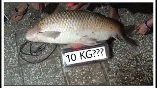 How I Prepared To Catch Big// Mrigal Fish | Full Fishing Set Up | Angler Rahul //Rohu fishing