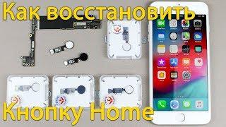 Что делать если перестала работать кнопка home на iPhone