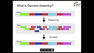 Fundamentals of Genome Assembly