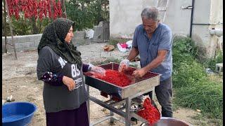 ️Hatay Yemeklerini Lezzetlendiren Biber Salçası Yapımına Başladık