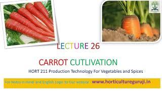 #HORT211 Lecture 26 Carrot | गाजर