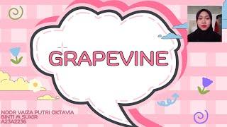 Grapevine