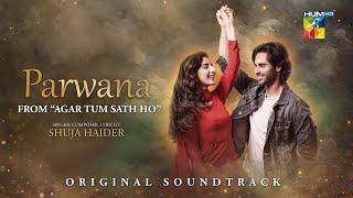 Parwana - OST : Agar Tum Sath Ho - Singer: Shuja Haider - HUM TV