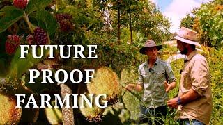 Amazing Syntropic Food Forest in just 3 Years! | Could this be the future of farming?