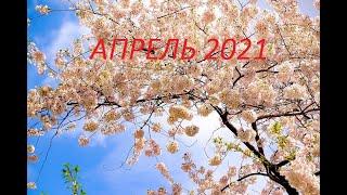 ОВЕН. АПРЕЛЬ 2021. Таро прогноз.