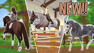 STAR STABLE *SECRETLY* ADDED THESE THINGS TO THE GAME & NOBODY NOTICED!!