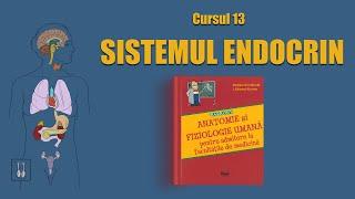 C13. Sistemul endocrin | LIVE BARRON'S ADMITERE MEDICINĂ