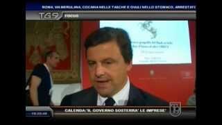 Crisi, al Tg9 Carlo Calenda, viceministro dello Sviluppo economico. L'intervista di Andrea Picardi